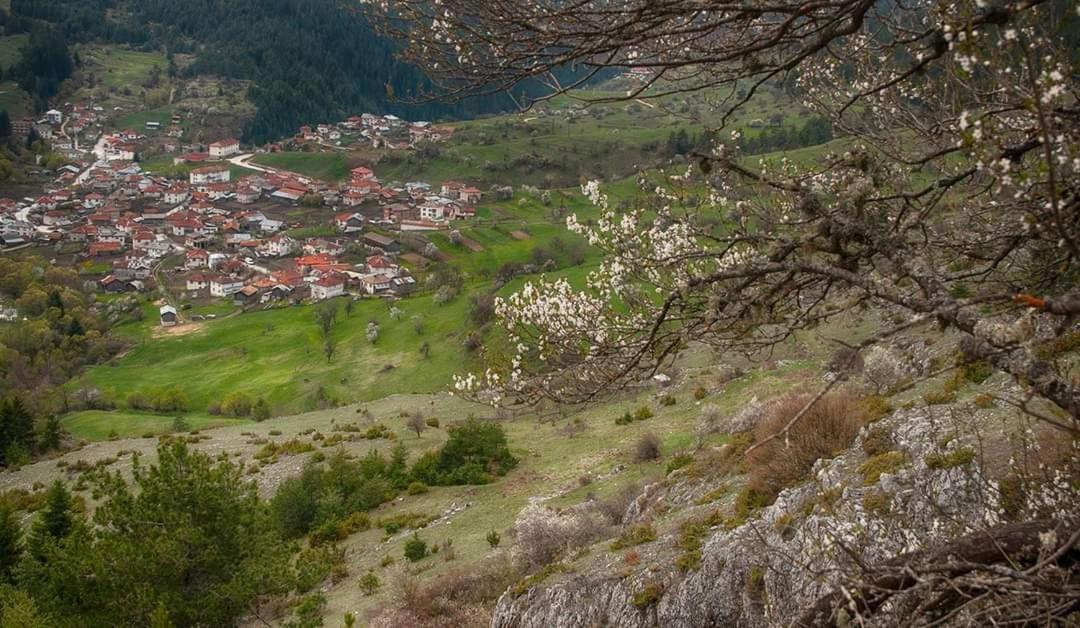 Вила Здравец Yagodina Eksteriør bilde