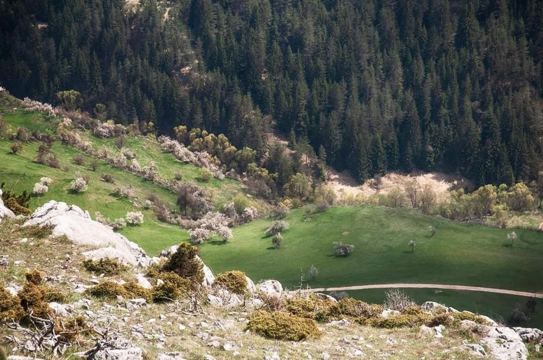 Вила Здравец Yagodina Eksteriør bilde
